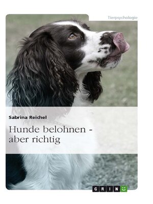 cover image of Hunde belohnen – aber richtig